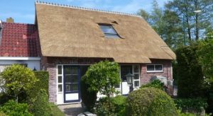 rietendak